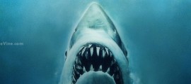 jaws