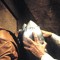 “The Rocketeer” Is Coming To Blu Ray! rocketeer2