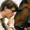 war-horse