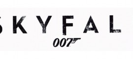 skyfall007