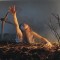 evil dead banner