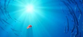 Finding_Nemo Banner Proper