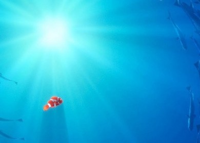Finding_Nemo Banner Proper