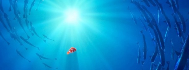 Finding_Nemo Banner Proper