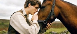 warhorse