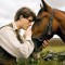 warhorse