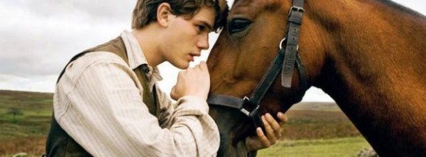 warhorse