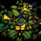 tmnt banner