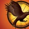 catching fire banner