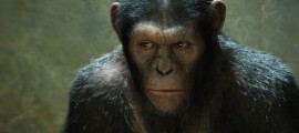 caesar_full