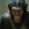 The Next “Apes” Movie Gets A Great Writer caesar_full