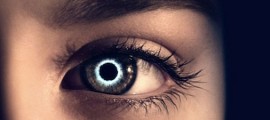 the-host-banner