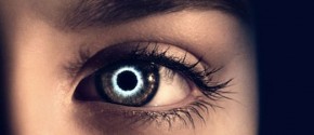 the-host-banner
