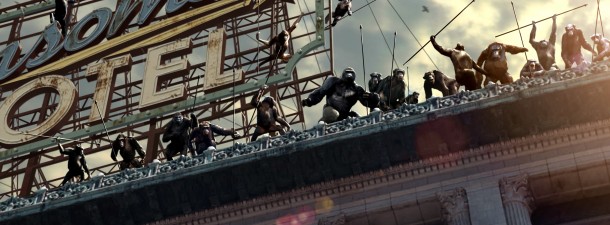apes banner