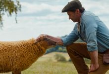 The Sheep Detectives