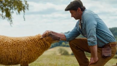 The Sheep Detectives