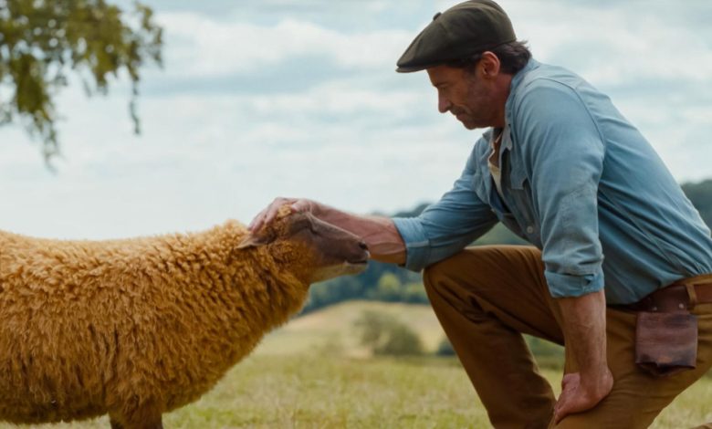 The Sheep Detectives