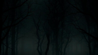 The Lost Ones
