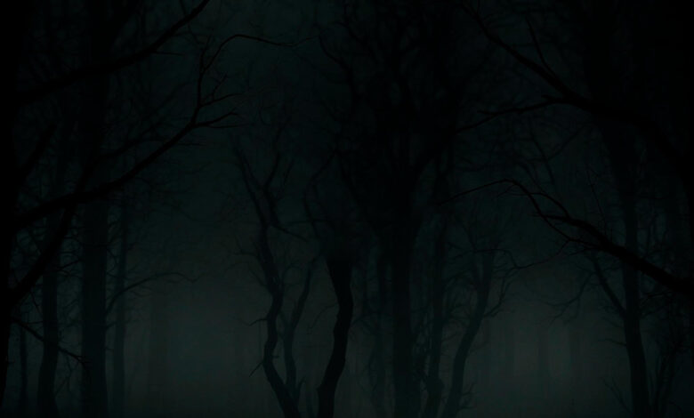 The Lost Ones