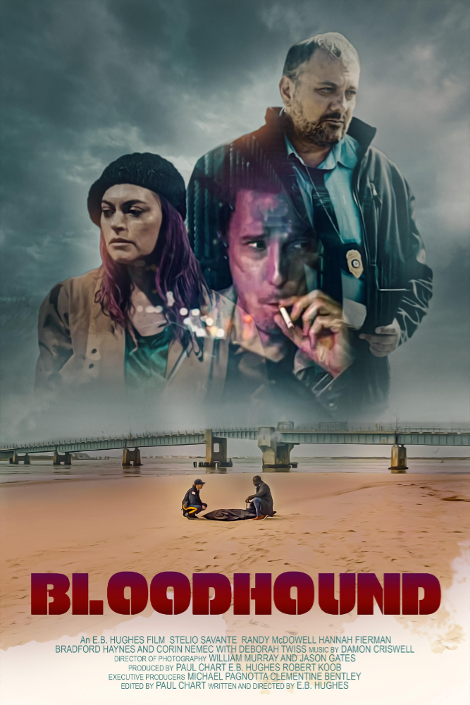 Bloodhound